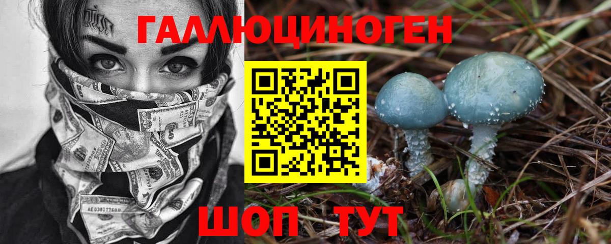 Белореченск  Псилоцибиновые грибы GOLDEN TEACHER  Вход с VPN 